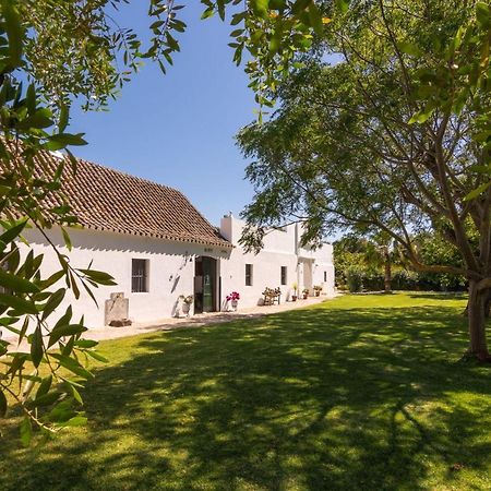 Cortijo El Indiviso Pensionat Vejer de la Frontera Exteriör bild