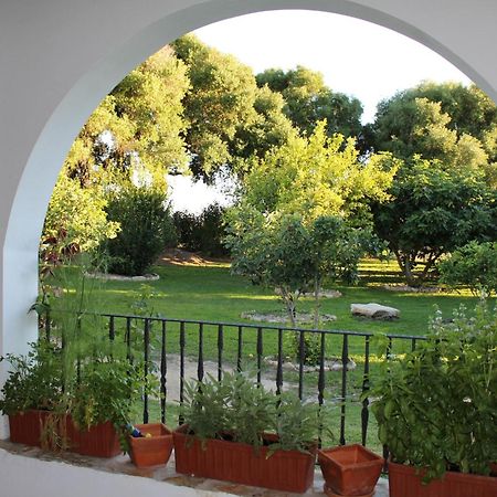 Cortijo El Indiviso Pensionat Vejer de la Frontera Rum bild