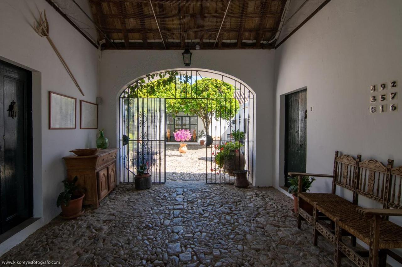 Cortijo El Indiviso Pensionat Vejer de la Frontera Exteriör bild